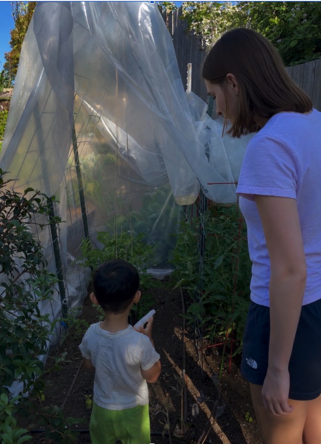 A babysitter and a young boy exploring a covered backyard vegetable garden together